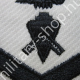 USA,HADITENGERÉSZ KARJELZÉS,ŐRMESTER,10.SSZ.