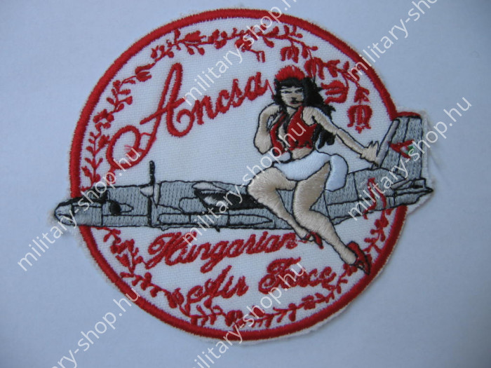 usa bw bundeswehr angol nato magyar katonai felvarró mi-24 helikopteres repülős felvarró használt katonai felszerelés katonai bolt üzlet army shop store military shop store in budapest